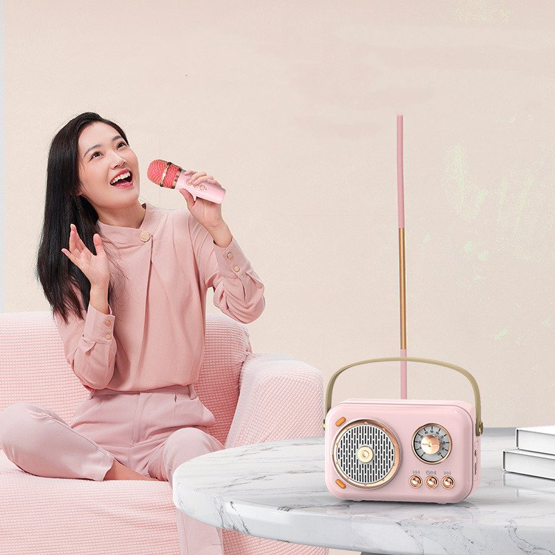 Mini enceinte Bluetooth sans fil avec microphone karaoké – Haut-parleur portable