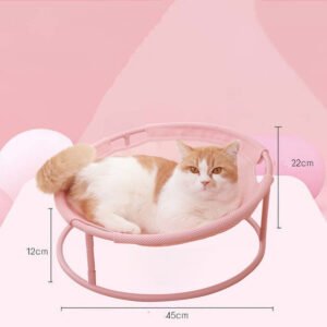 Animaux et Accessoires